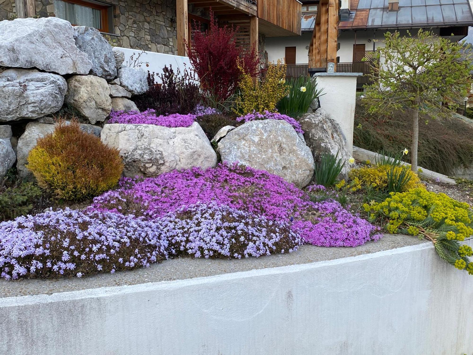 Apartamento Reggia Al Sole Pieve di Cadore Exterior foto